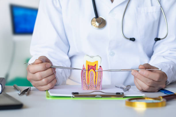 Best Emergency Wisdom Teeth Removal in Tangelo Park, FL